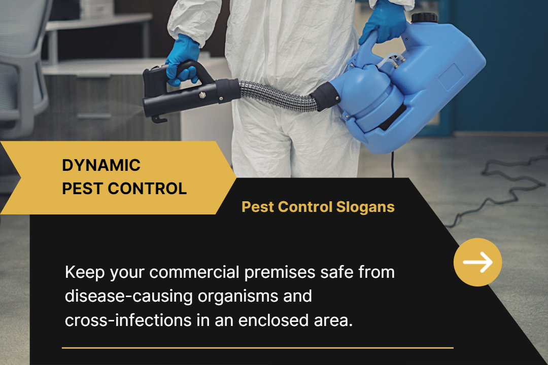 Pest Control Slogans Protect Yourself From Pests